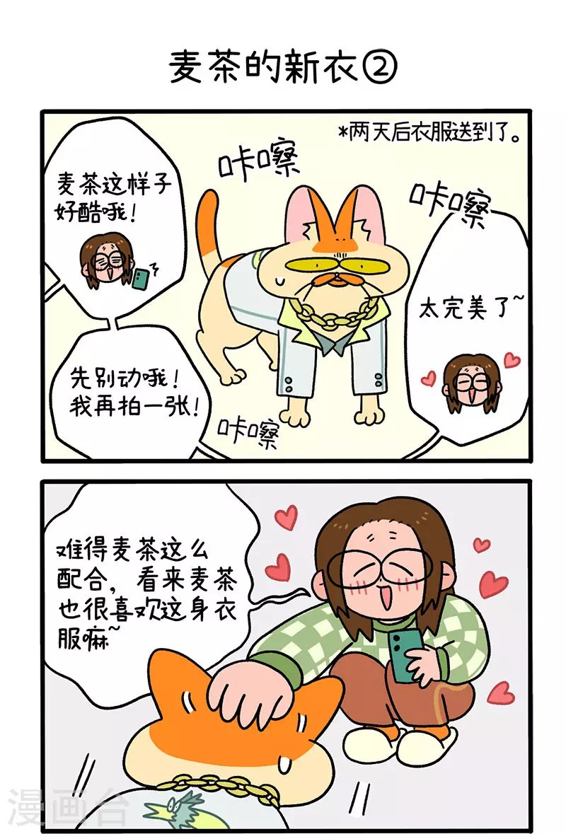 第51话 麦茶的新衣