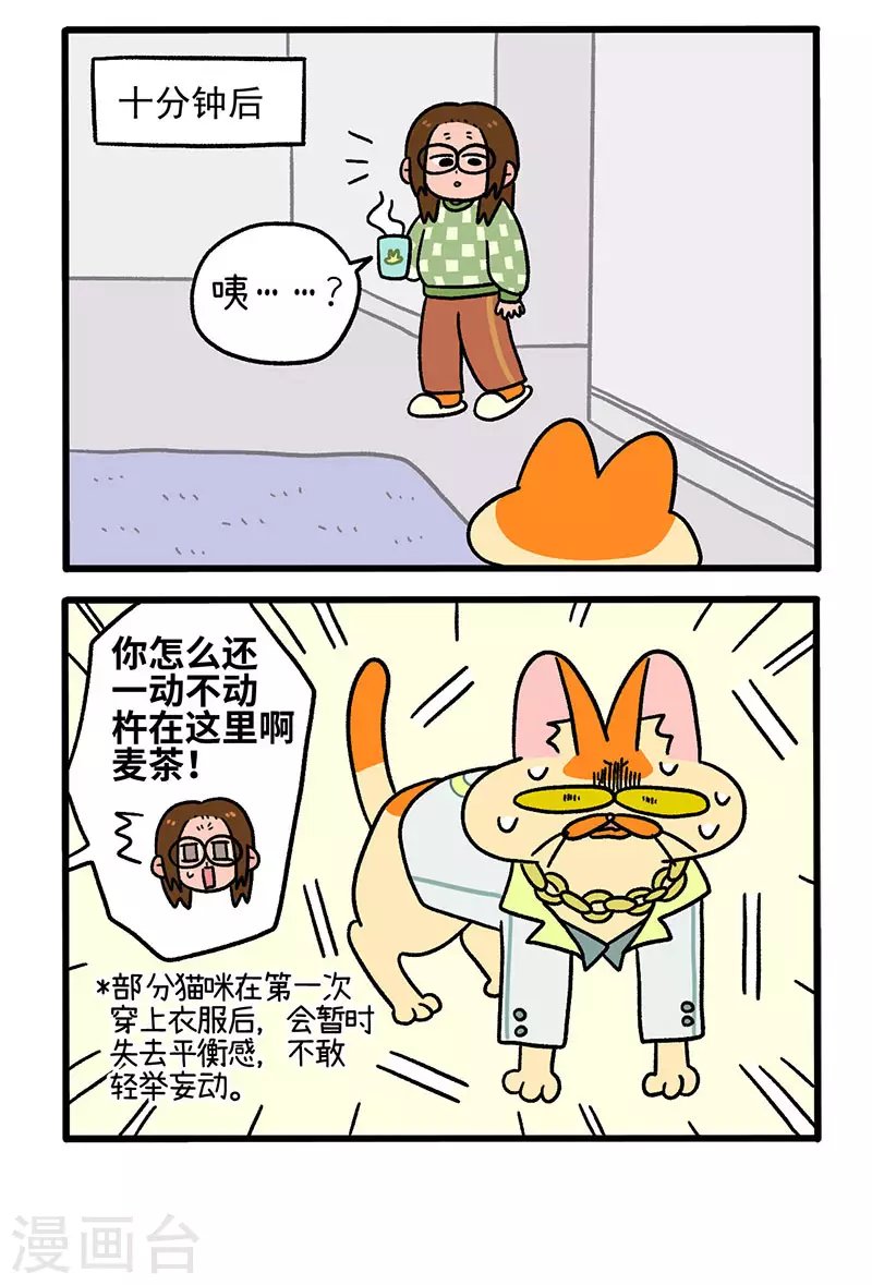 第51话 麦茶的新衣