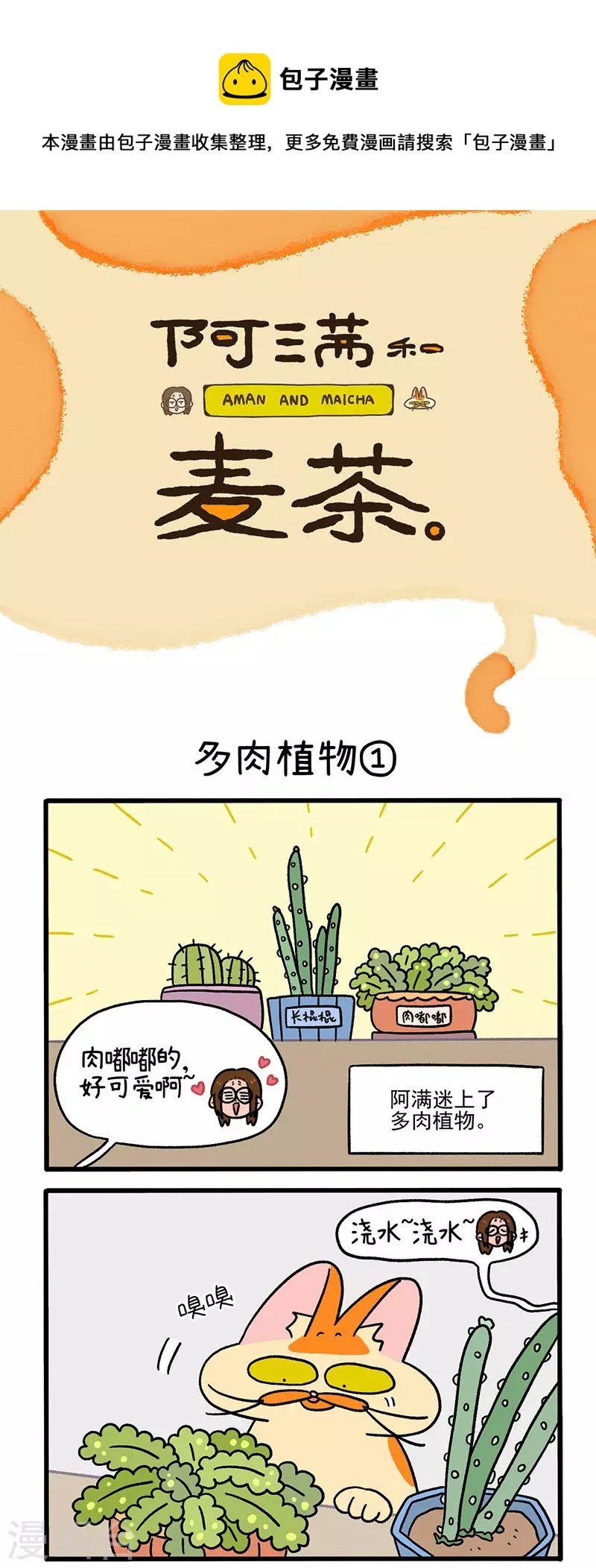 第57话 多肉植物