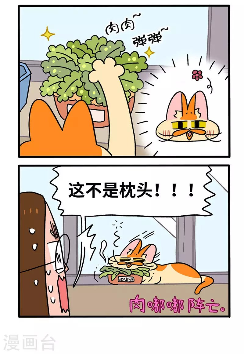 第57话 多肉植物
