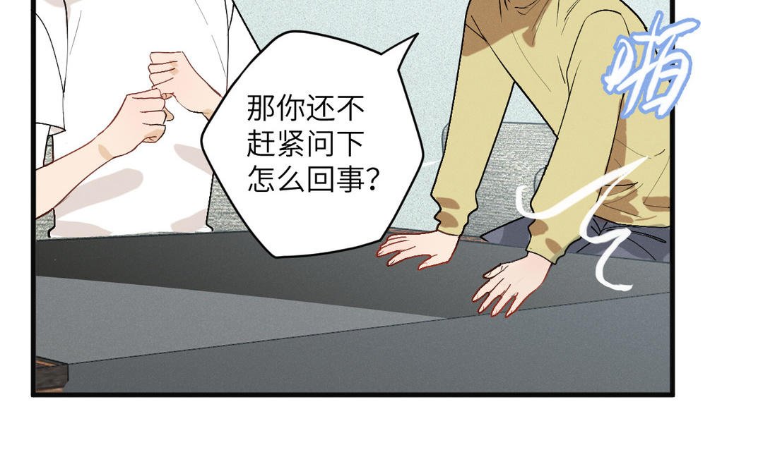 第7话 好欺负的麻雀