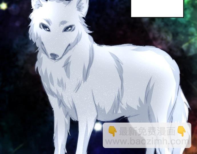 第20话 主人？！