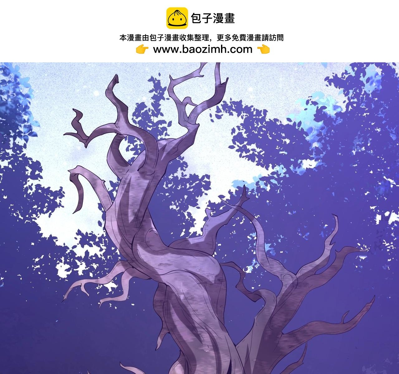 第213话 暗夜精灵一族的诅咒！