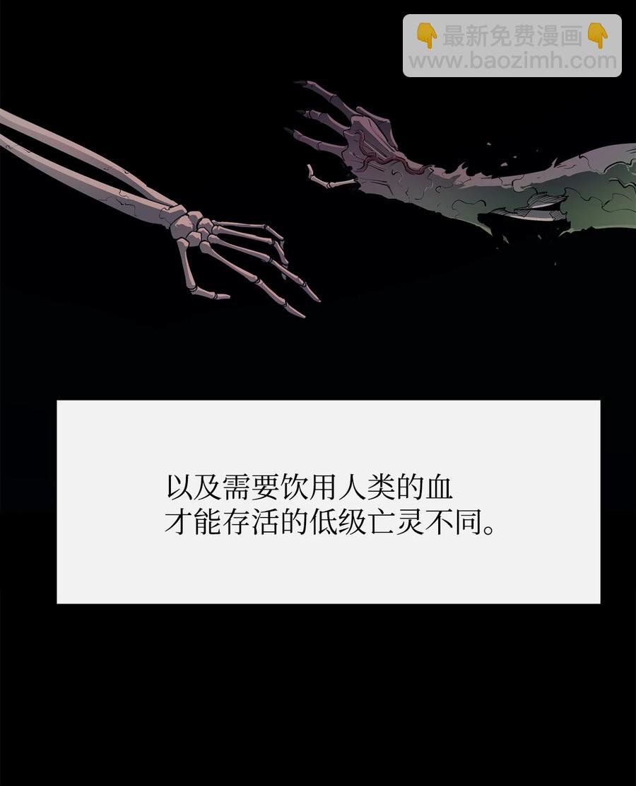 28 不一样的亡灵