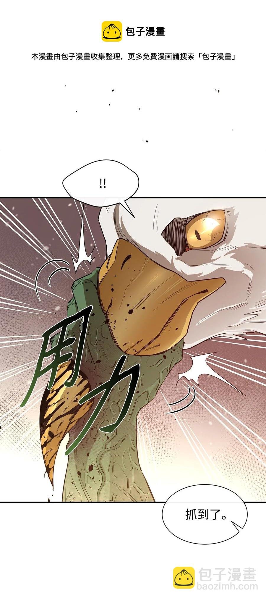 42 野性的冲动