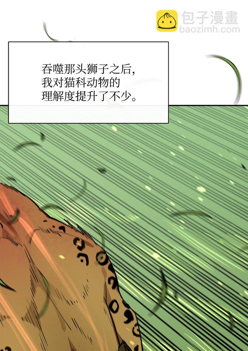 53 精灵