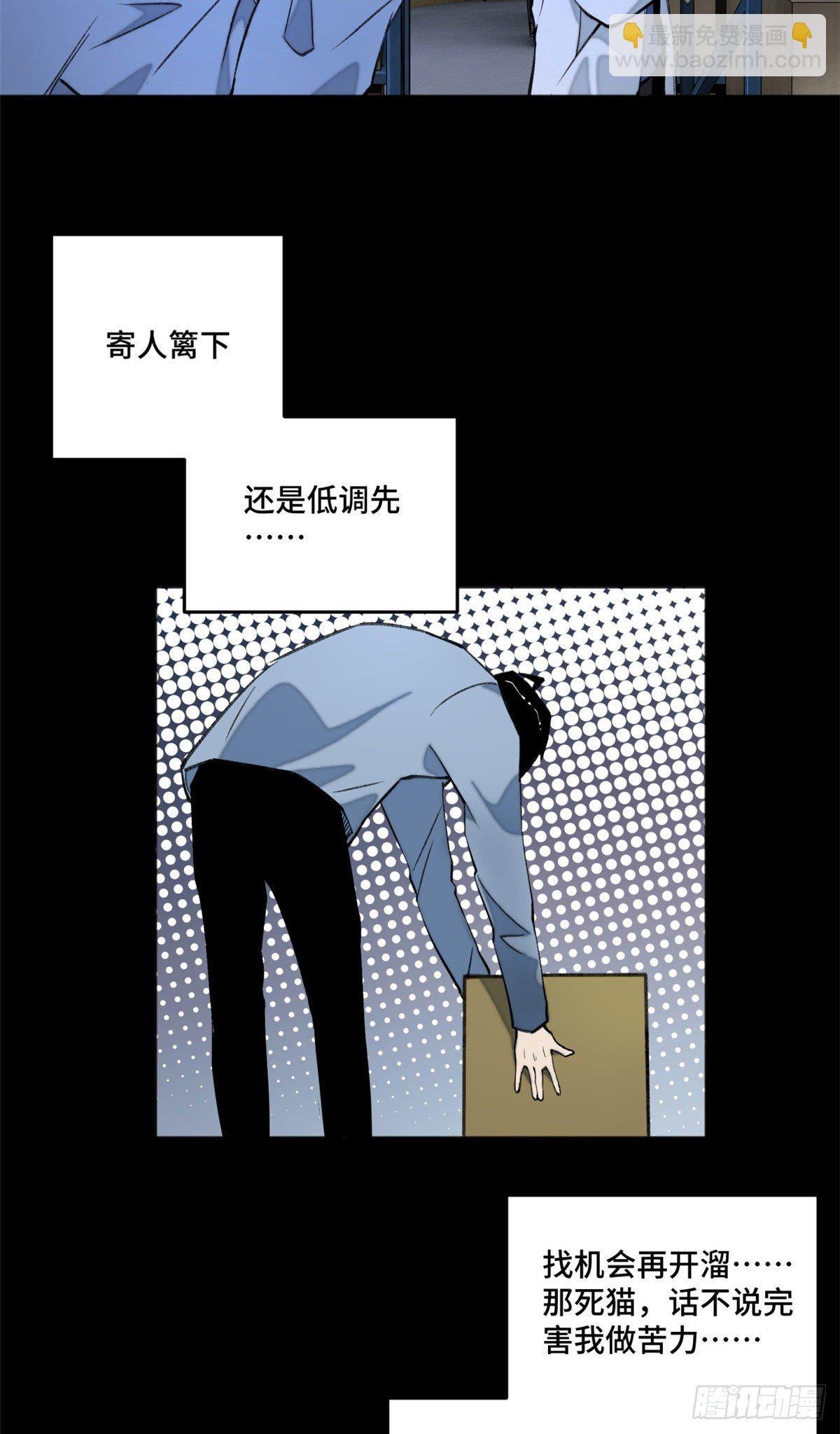 05 怪猫本体