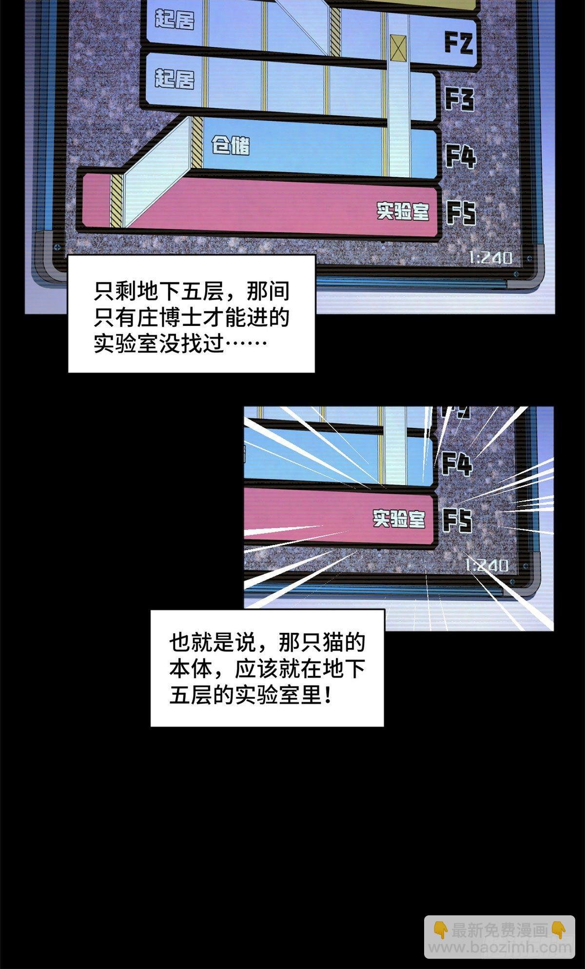 05 怪猫本体