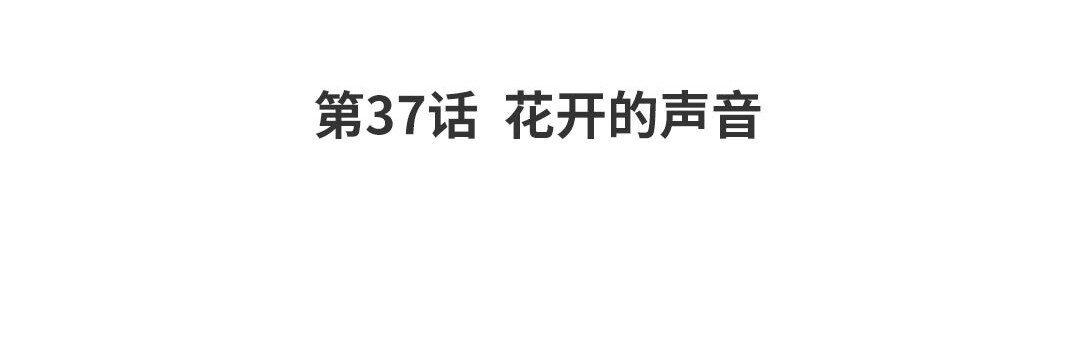 43 第37话 花开的声音