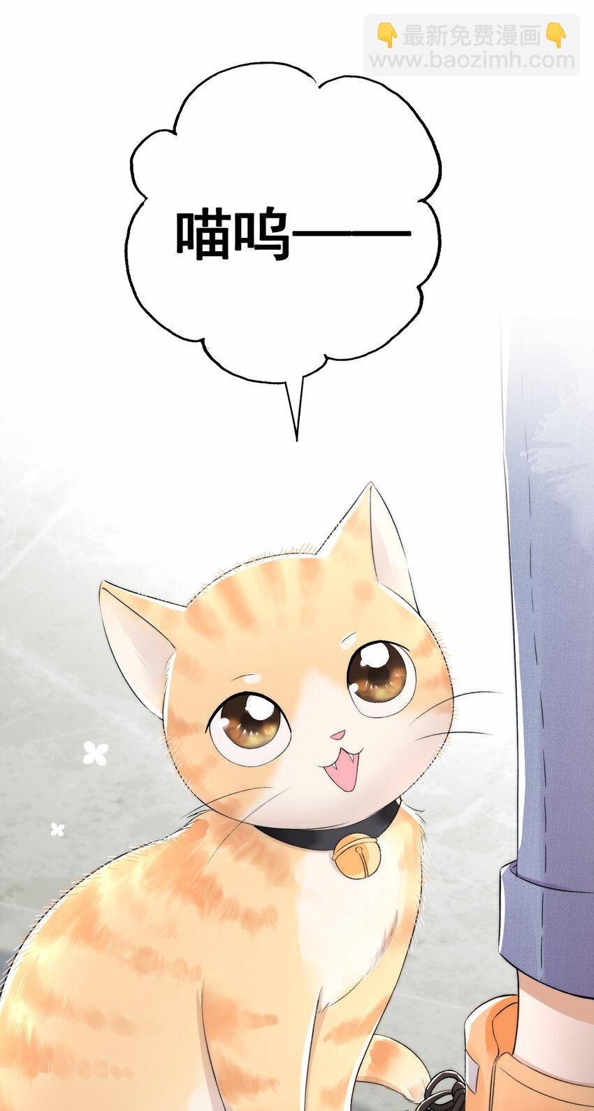 002 第三者