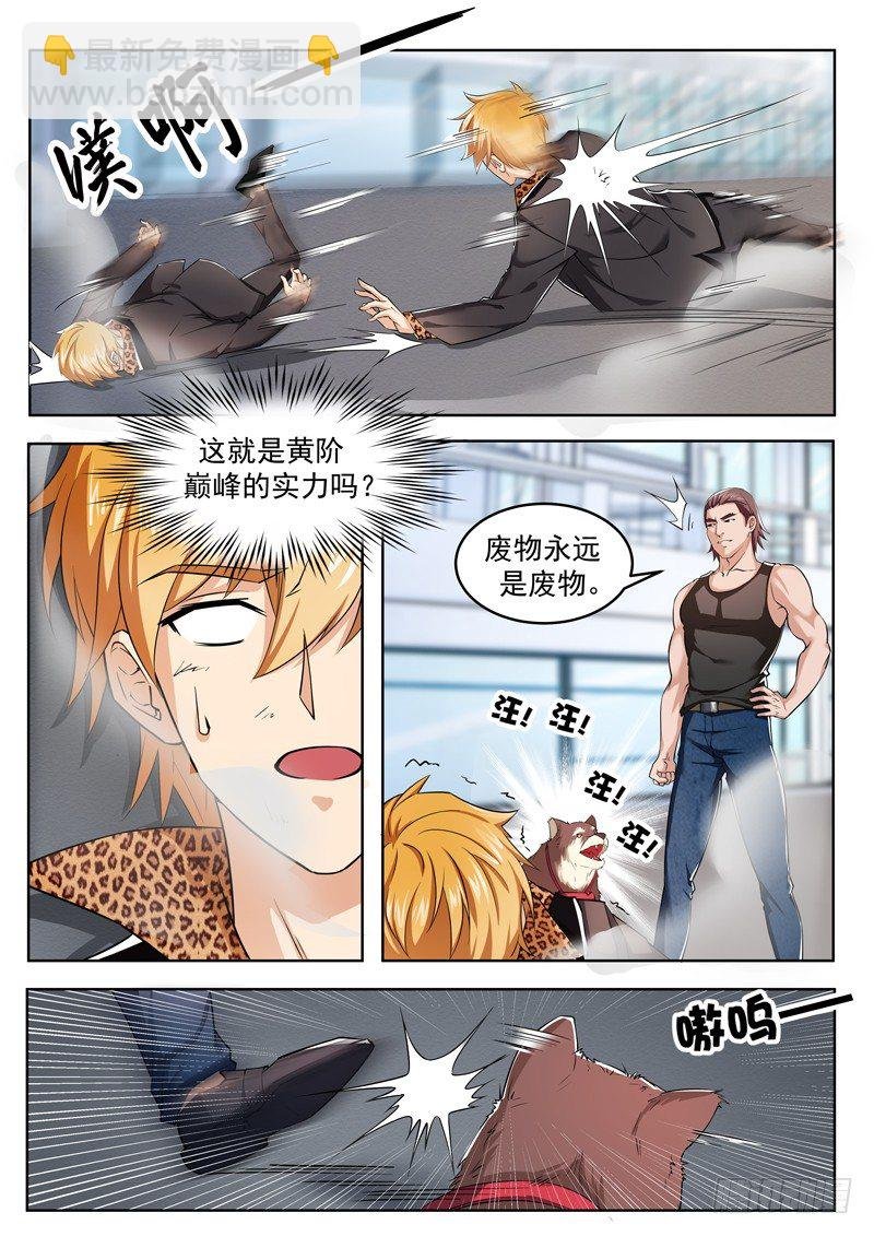 第二话 玄阶之下我第一