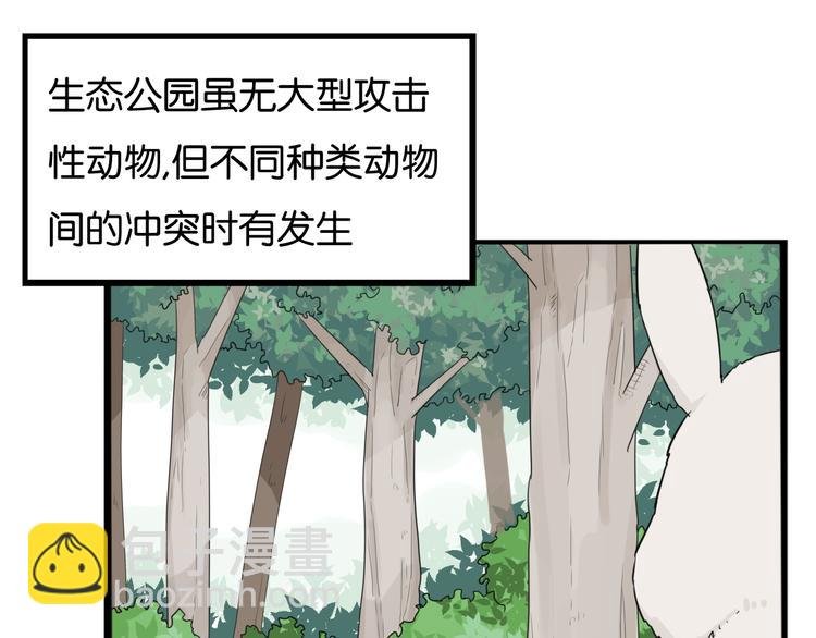 第216话 偶像选拔篇26