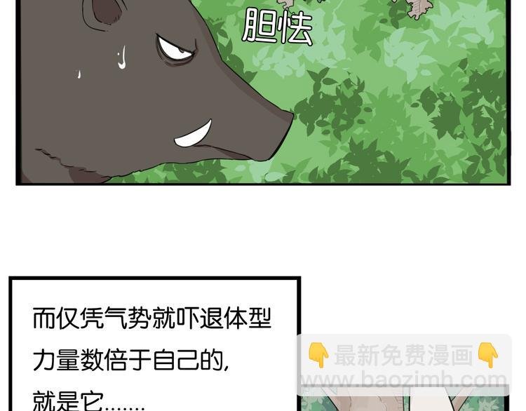第216话 偶像选拔篇26