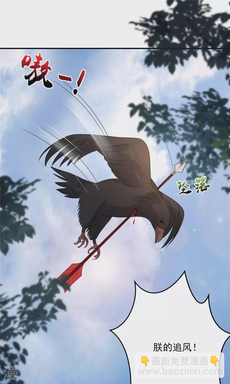 第139话 这是朕的鸟！