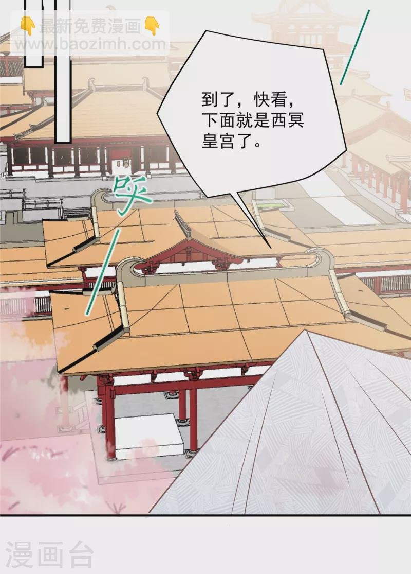 第161话 自由飞翔