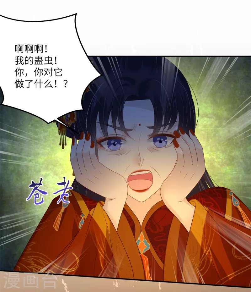 第227话 至始至终从未爱过你