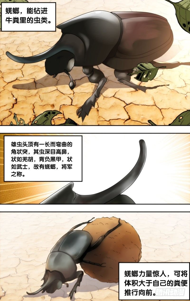 12.蜣螂