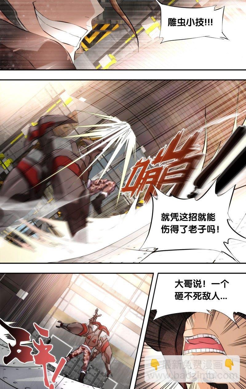 12.蜣螂