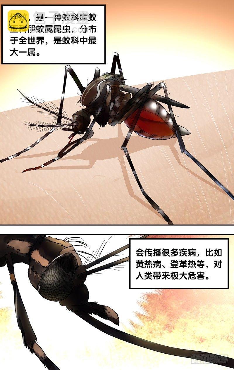 14.伊蚊