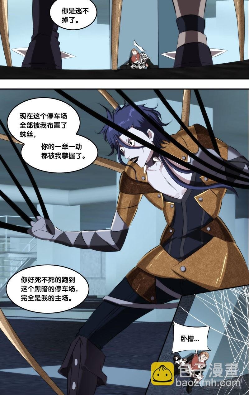 145.幽灵蛛