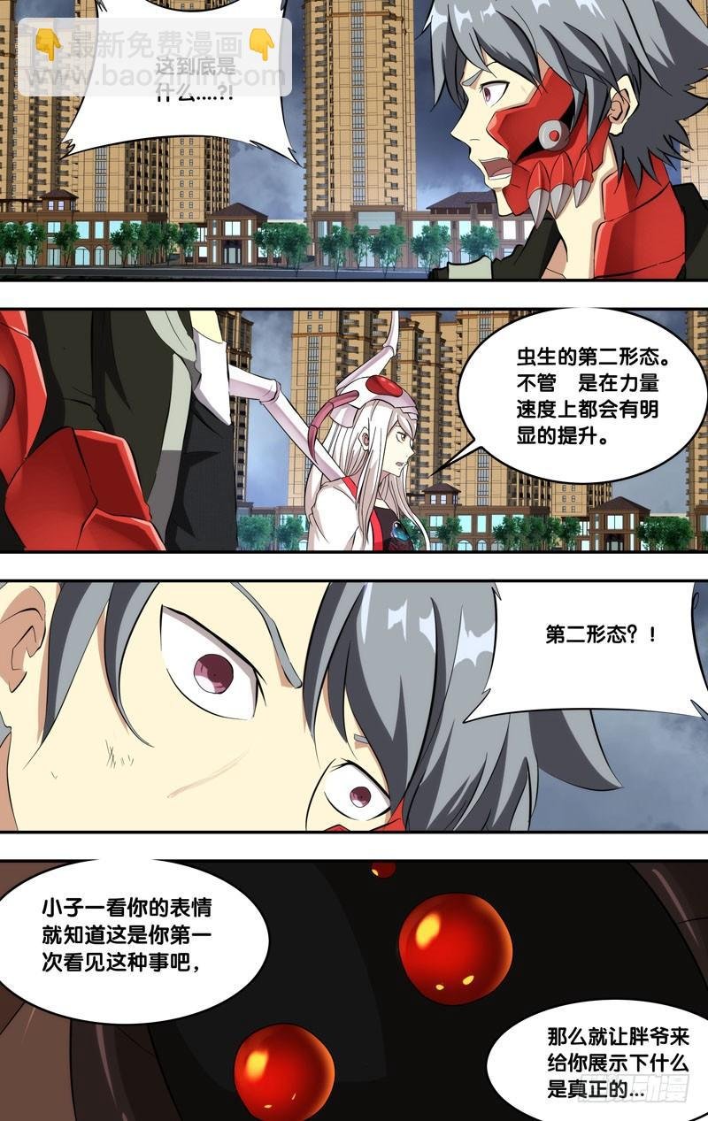 155.形态二