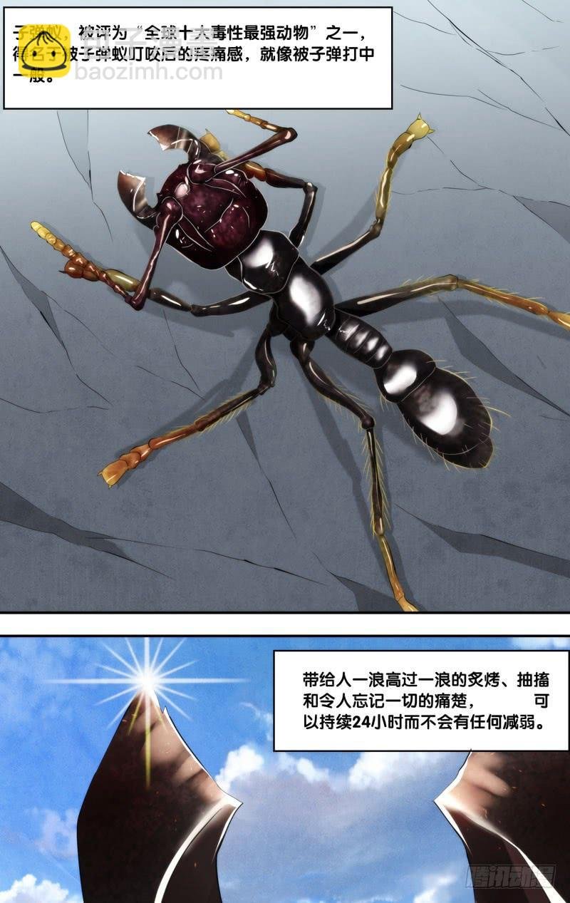 170.独角仙