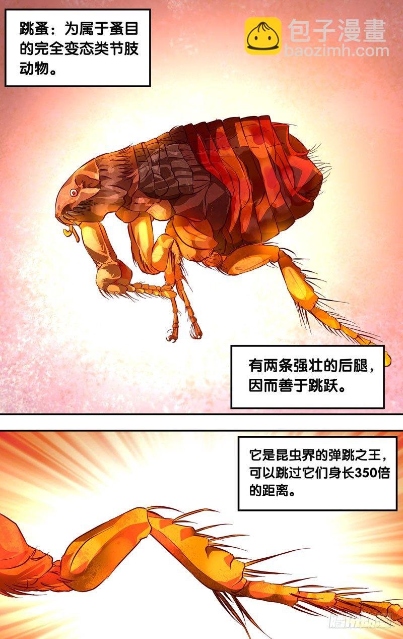 17.辗压