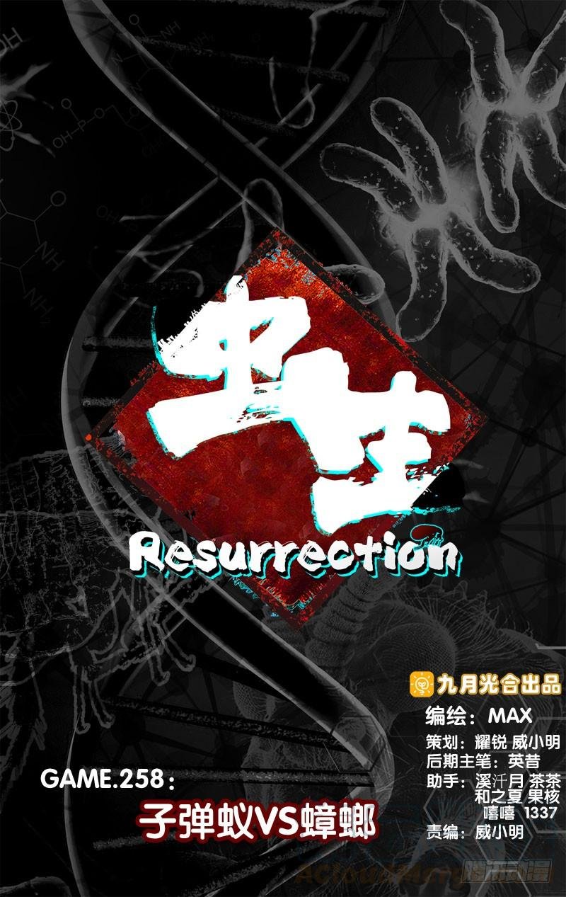 258.子弹蚁VS蟑螂