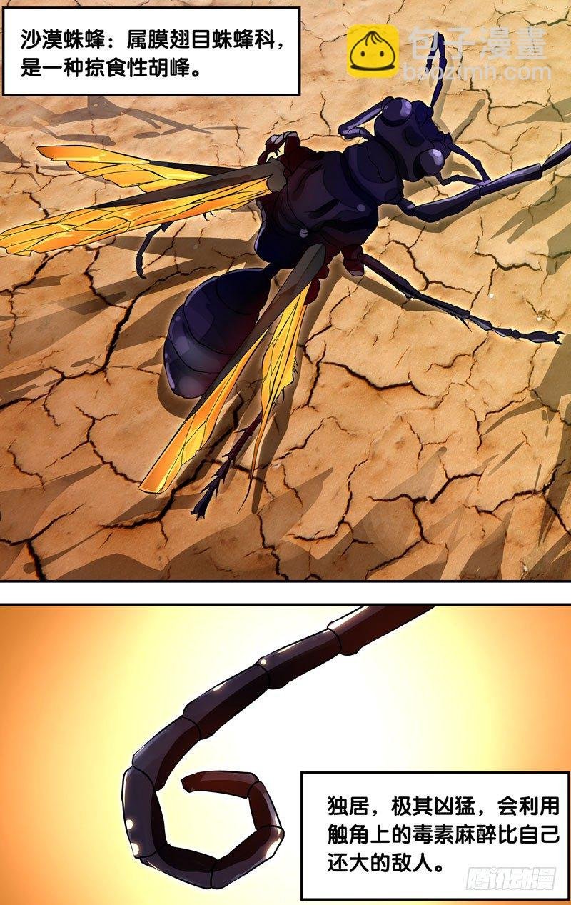 27.刺