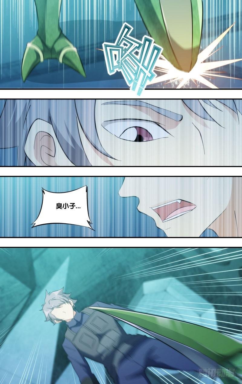 282.摊牌