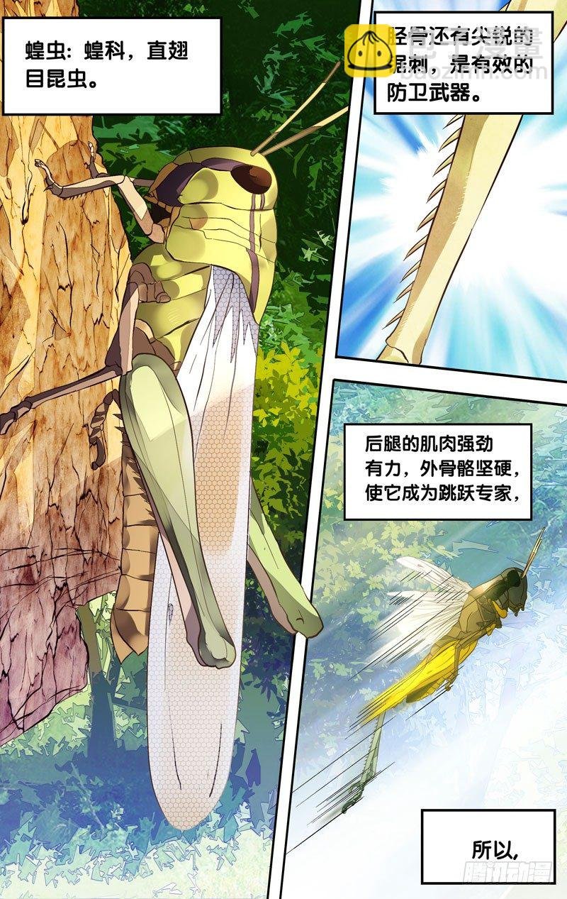 3.蝗