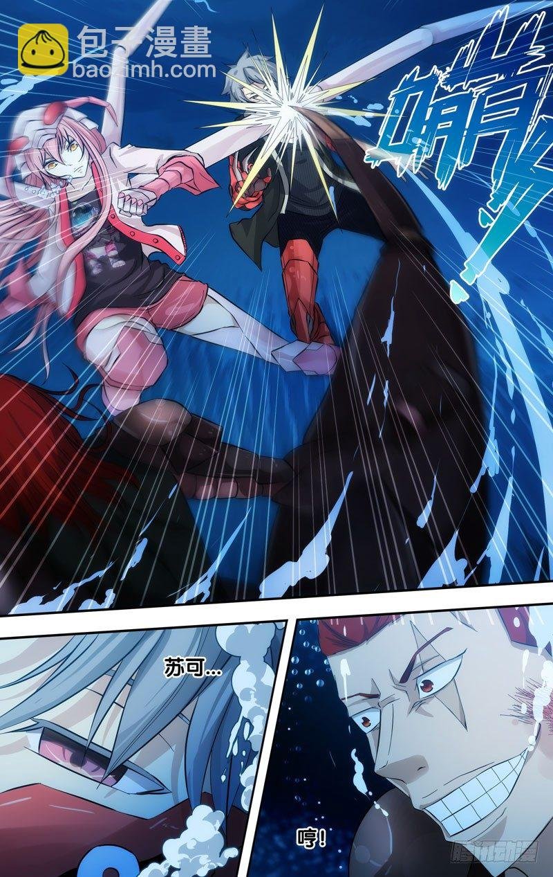 30.划蝽