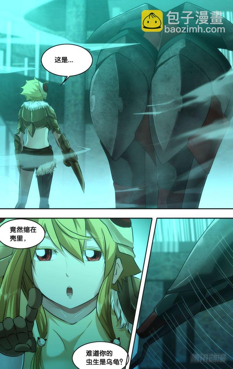 47.果蝇VS独角仙