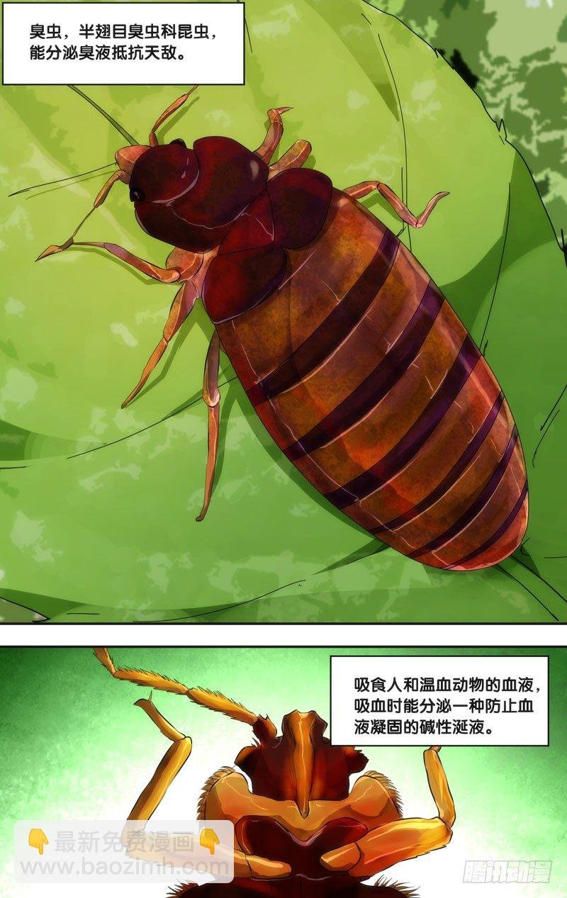 49.胜负