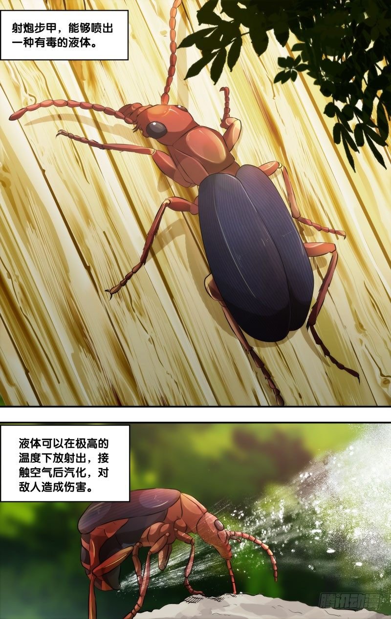55.射炮步甲