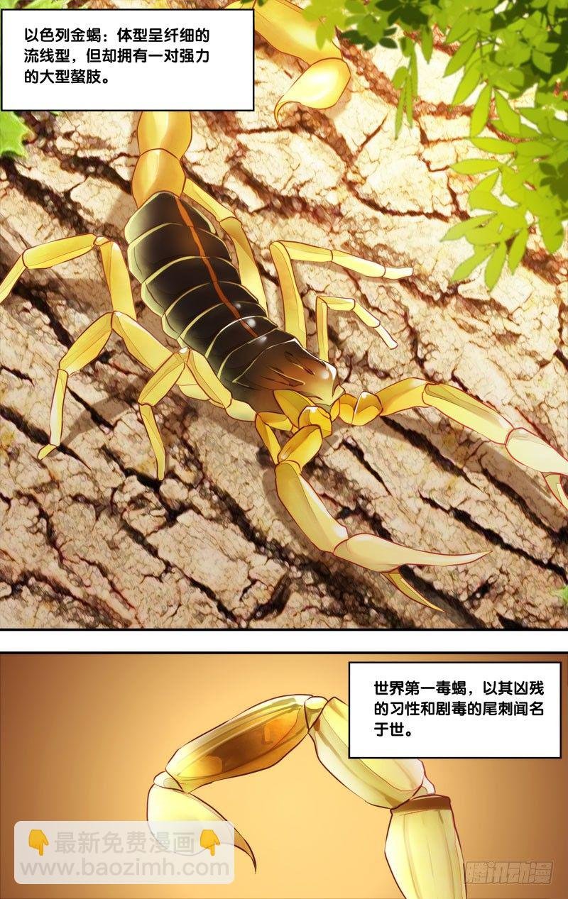 78.游戏结束