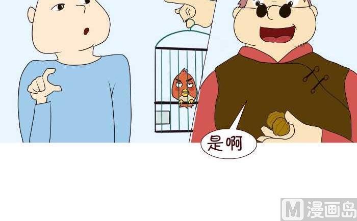 195 遛鸟