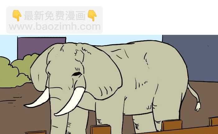 307 没有厕所