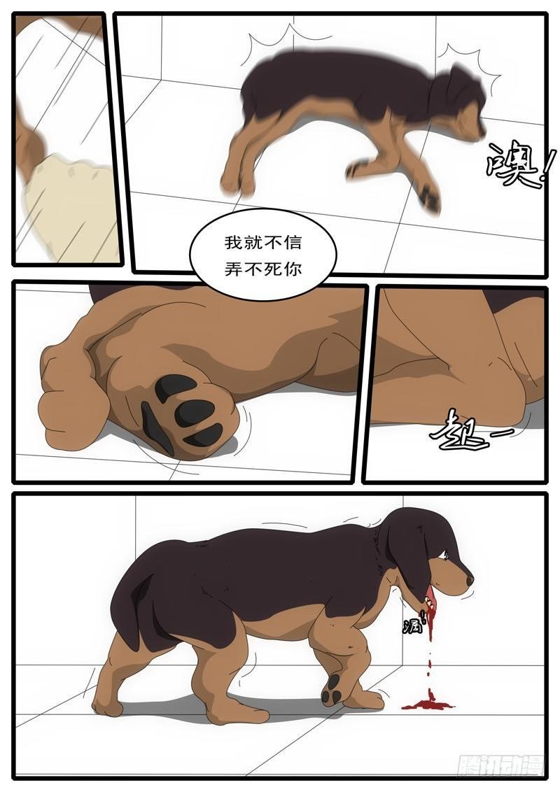 第1天 第20小时43分