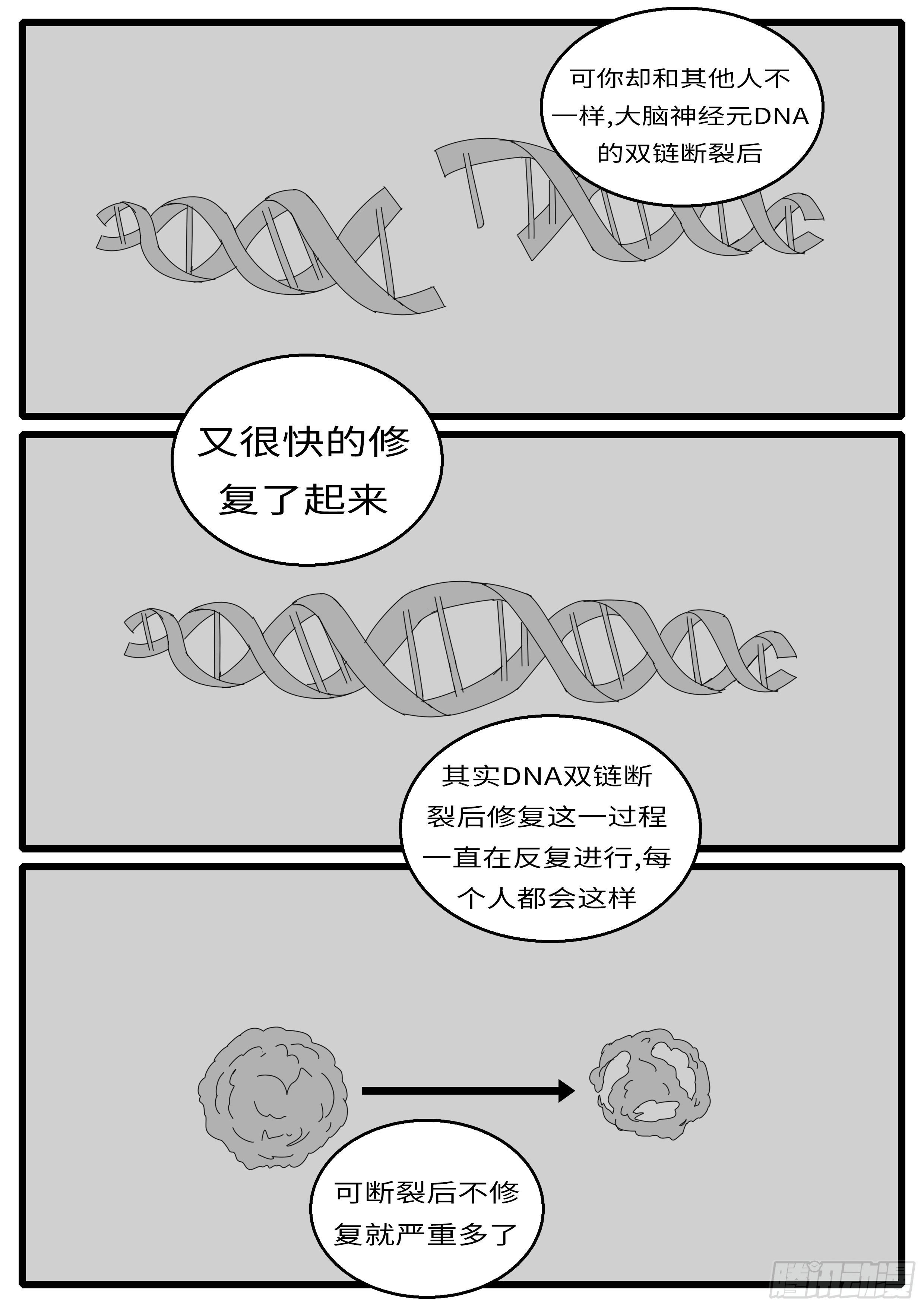 15年12月11日23点41分