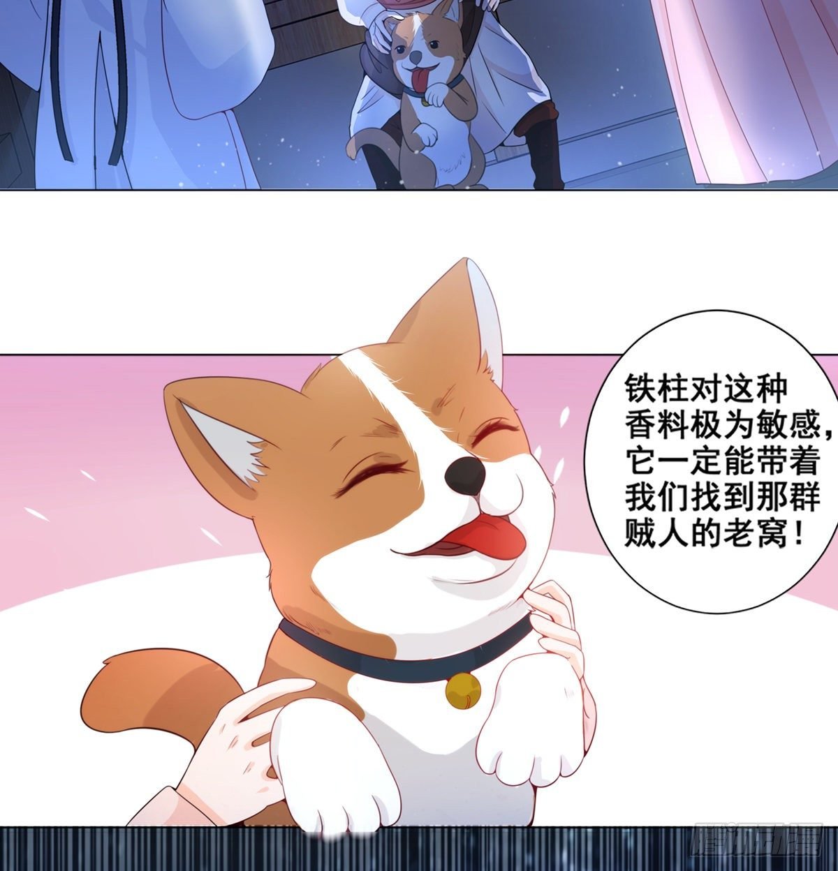 005偷书贼现身