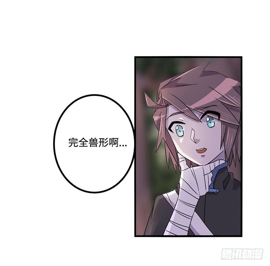 赤色胡狼