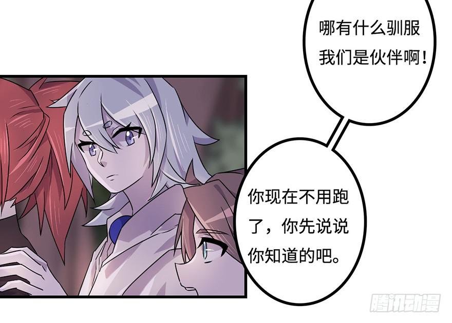 赤色胡狼