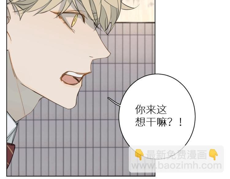 第13话 我的坚持