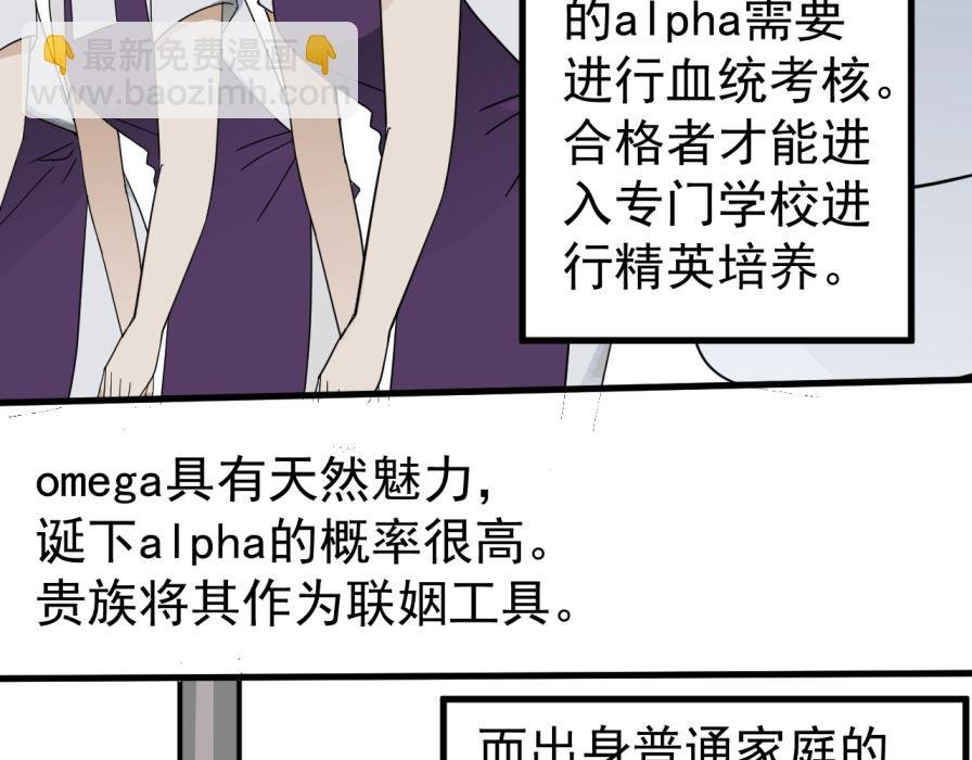 世界观设定章