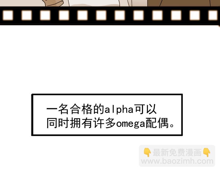 世界观设定章