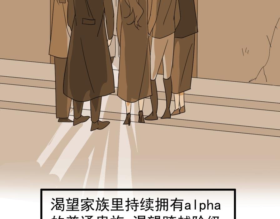 世界观设定章