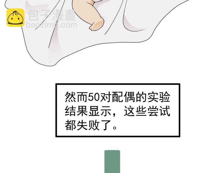 世界观设定章