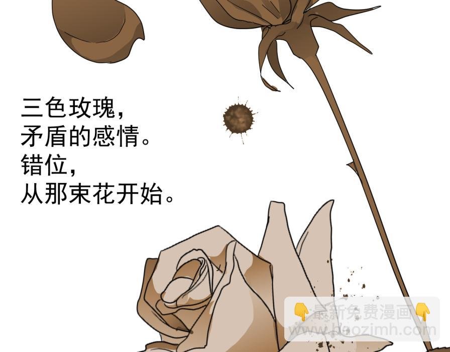 世界观设定章