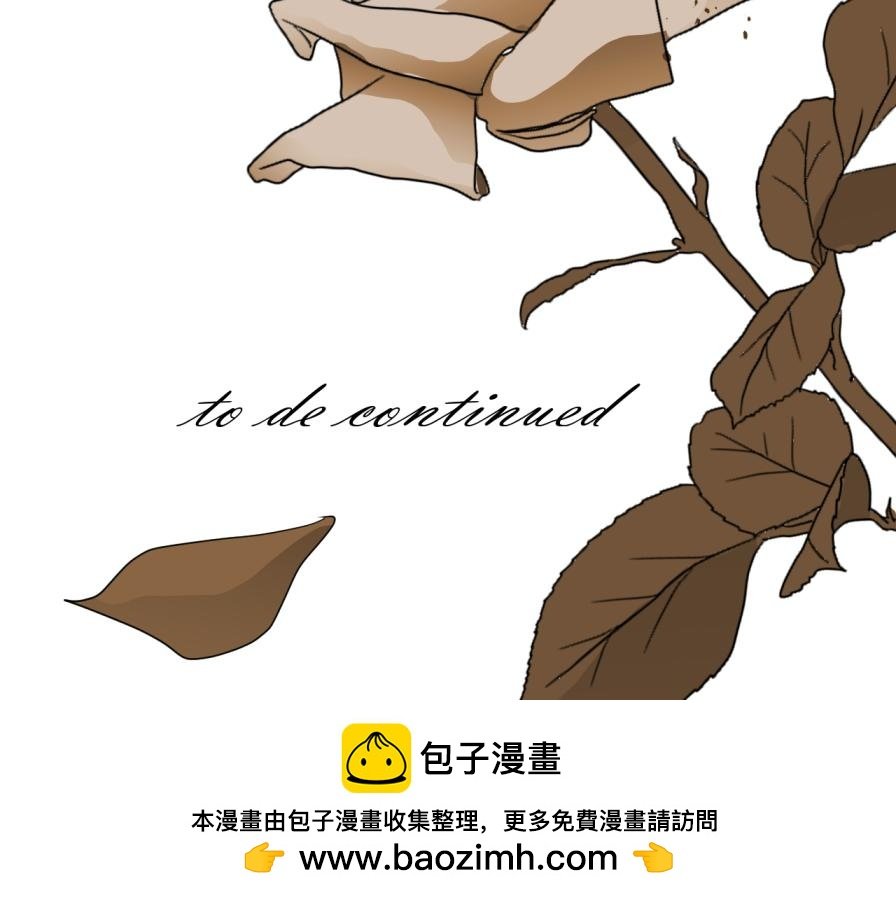 世界观设定章